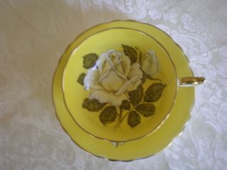 PARAGON White Cabbage Rose on Yellow Cup & Saucer,  Double Warrant 2