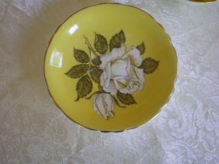 PARAGON White Cabbage Rose on Yellow Cup & Saucer,  Double Warrant 3