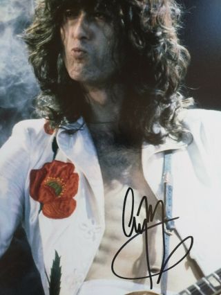 LED ZEPPELIN Signed by JIMMY PAGE 10X8 FANTASTIC ITEM with 4