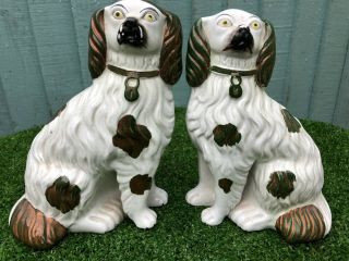 Pair: Orig.  19thc Staffordshire Copper Lustre & White Spaniel Dogs C1880s