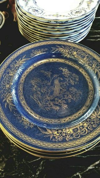 Very Rare Wedgwood Fairyland Lustre (peacock) Plate