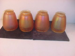 C.  1920 4 Matching Nuart? Carnival Glass Shades " Primrose " Pattern Marigold Rare
