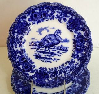 Antique Ridgway Staffordshire Flow Blue Turkey Dinner Plate (11)