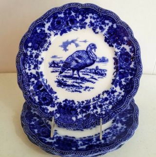 Antique Ridgway Staffordshire Flow Blue Turkey Dinner Plate (11) 2