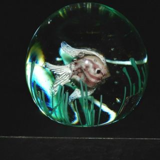 Murano Fratelli Toso Venetian Glass Paperweight Swimming Fish