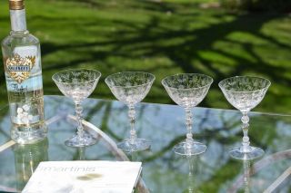 Vintage Acid Etched Crystal Cocktail Martini Glasses,  Fostoria,  Chintz