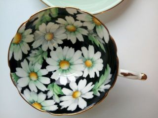 Vintage Paragon Large White Daisy Flowers Black Green Tea Cup Saucer HTF Rare 5