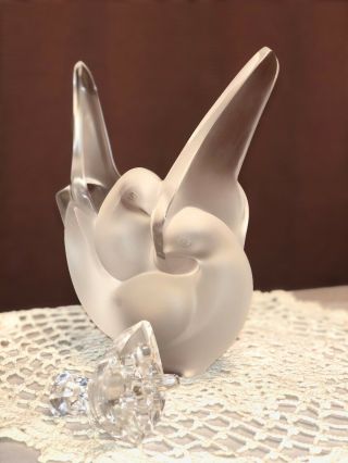 Signed Lalique Crystal Sylvie Dove Birds Frosted Flower Vase W/ Frog Insert