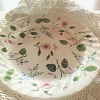 Corning Corelle Delicate Array Set Of 8 Salad/luncheon Plate (s) 8.  75 "