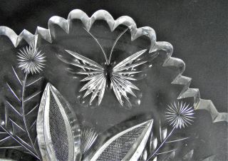 ANTIQUE TUTHILL BUTTERFLY FLOWER AMERICAN BRILLIANT PERIOD Cut Glass DISH ABP 4