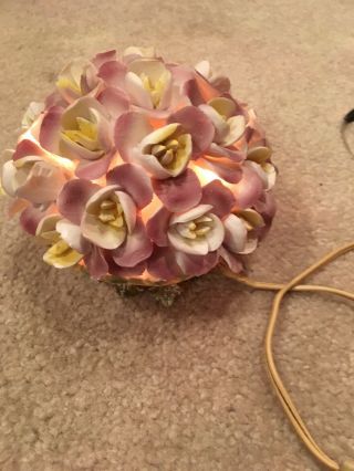 Vintage/Antique 1900 ' s Capidomonte Flower Lamp/Night Light Made In Italy 2