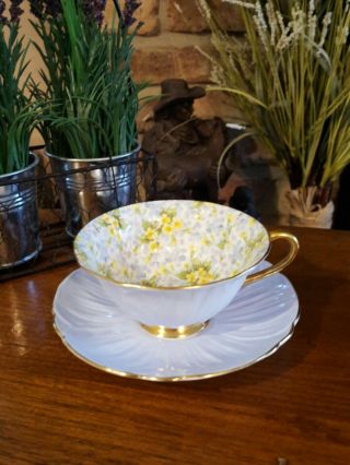 Cup And Saucer Set - Primrose Chintz W/ Gold Trim - Oleander Shape By Shelley