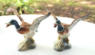 Vintage Pair 2 Beswick England Mallard Flying Duck Figurines 749