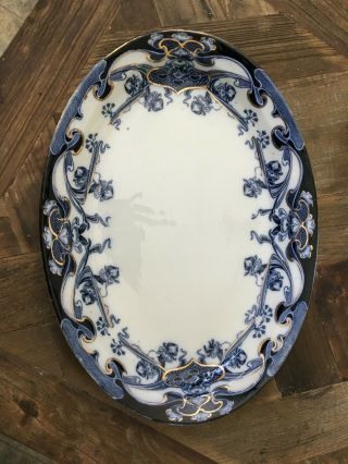 Set Of 2 Oval Platters Royal Staffordshire Pottery " Iris " Burslem England