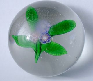Antique 19th Century Glass Paperweight Clichy Or England Glass Company Negc