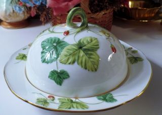 Vintage Minton China Porcelain Covered Butter/ Cheese Dish Embossed Rare