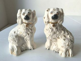 Pair Staffordshire Beswick England Dog Figurines King Charles Spaniels 5 1/2 "