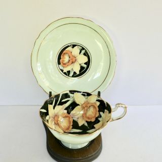 Paragon Daffodils Double Warrant Cup Saucer G7660 Black Green Gold Vintage