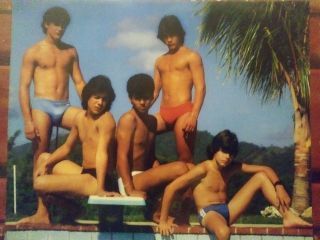 Menudo,  Young Ricky Martin Vintage 8x10 Group By Pool In Swimsuits