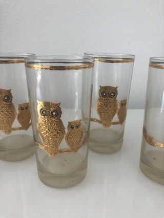 Culver Vintage Set Of 8 Mid Century Gold 22k Owl Drinking Glasses Highball