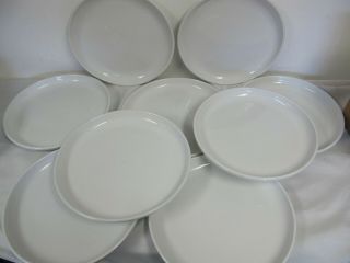 Crate & Barrel Culinary Arts White Coupe Dinner Plates (9) Cafeware Rim