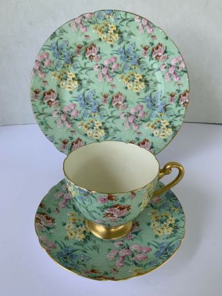 Shelley Melody Chintz Cup Saucer 8 " Plate Trio Usa