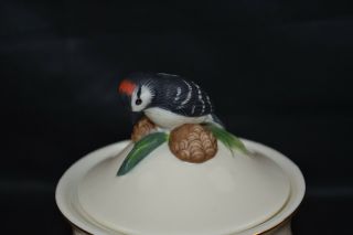 Lenox Winter Greetings Bird Finial Covered Sugar Bowl 3