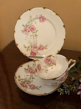 Haviland Limoges - Baltimore Roses - Plate - Tea Cup - Saucer W/ Gold Stenciling