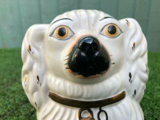 19thC STAFFORDSHIRE WHITE & GILT SPANIEL DOG ' S HEAD MONEY BOX c1890s 2