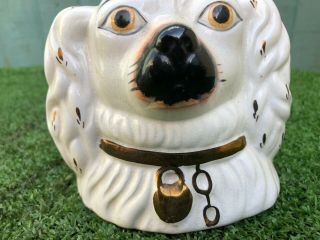 19thC STAFFORDSHIRE WHITE & GILT SPANIEL DOG ' S HEAD MONEY BOX c1890s 3