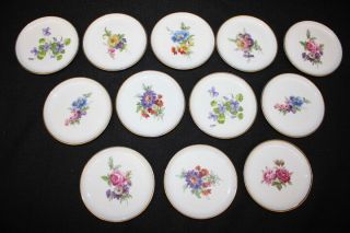 Set Of 12 Kaiser W Germany Mini Porcelain 4 " Floral Plates/coasters Gold Trim