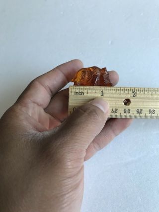 Vintage Honey Amber Boar Figurine Statue Paperweight 3.  9 Grams 7