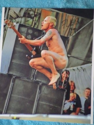 Flea,  Hand Signed Photo,  Red Hot Chili Peppers L@@k