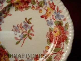 SPODE china SPODE ' s ASTER pattern COVERED VEGETABLE foot chip crazing 5