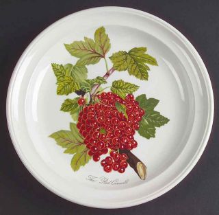 Portmeirion Pomona Red Currant Salad Plate 5520567