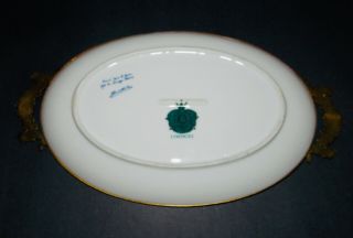 Limoges Paris Porcelain Hand Painted Dish with Ormolu Frame 2