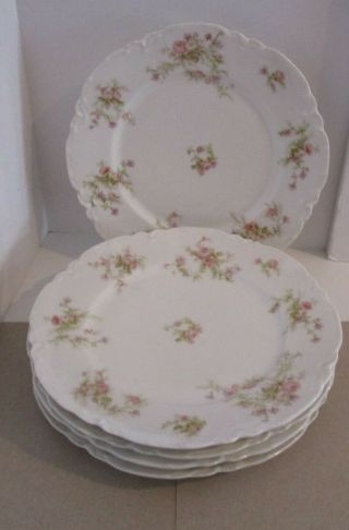 5 Theodore Haviland Limoges 9.  75 " Dinner Plates - Pink Roses