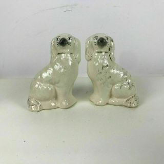 Staffordshire Spaniel Dog English Figurines 5 " Tall