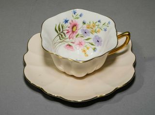 Vintage Shelley Wild Flowers Tan/cream 13678/315 Tea Cup And Saucer W/gold Trim