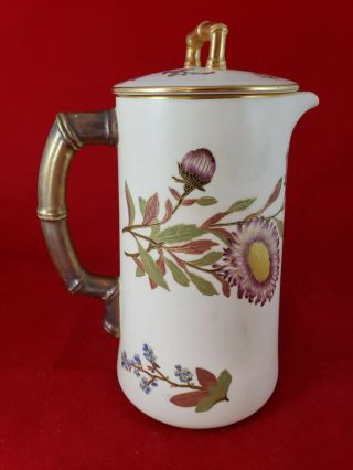 Antique 19th Century Royal Worcester Porcelain Tea Coffee Pot Botanical