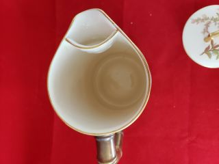 Antique 19th century Royal Worcester Porcelain Tea Coffee Pot Botanical 4