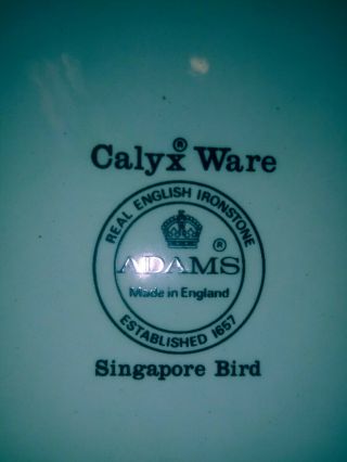Singapore bird adams four 10 Inch Plates 4