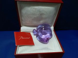 Baccarat Crystal Purple Lucky Fish With Box &