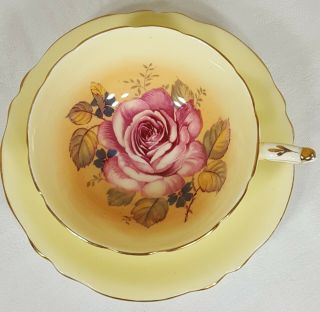 Paragon Double Warrant Large Rose Cup & Saucer