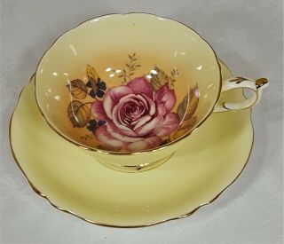 Paragon Double Warrant Large Rose Cup & Saucer 2
