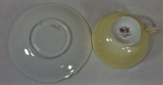 Paragon Double Warrant Large Rose Cup & Saucer 5
