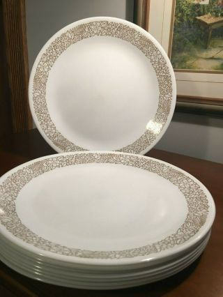 8 Corelle Corning Woodland Brown Dinner Plates 10 1/4 Inch