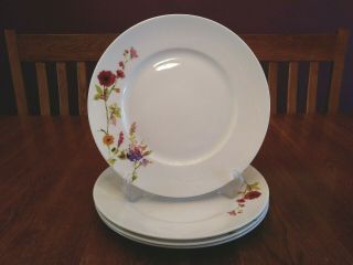 Four Gorgeous 222 Fifth Thea Bone China Floral Pattern Dinner Plates