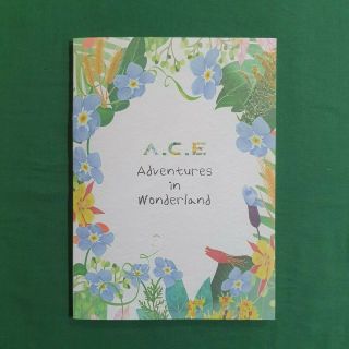 [pre - Owned / No Photocard] A.  C.  E Adventures In Wonderland Day Ver - Cd/ Booklet