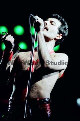 Freddie Mercury Performing On Stage Shirtless With Red Tie Publicity Photo